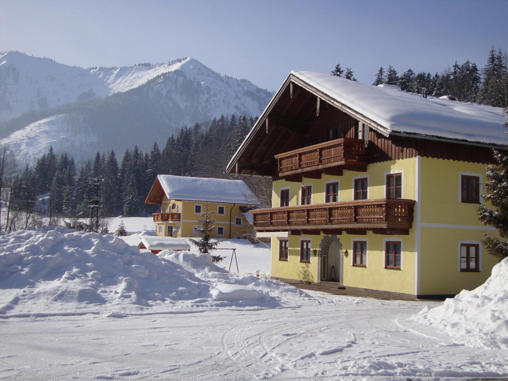 Pferdehof Almgut Apartment Faistenau Luaran gambar